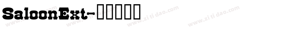 SaloonExt字体转换
