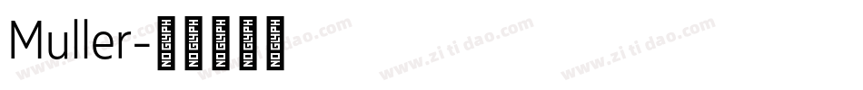 Muller字体转换