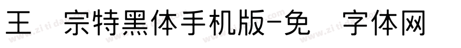 王汉宗特黑体手机版字体转换