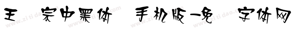 王汉宗中黑体简手机版字体转换
