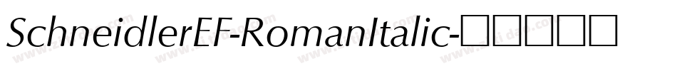 SchneidlerEF-RomanItalic字体转换