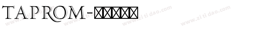 Taprom字体转换