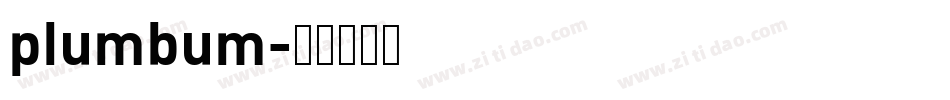 plumbum字体转换