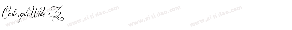 CastorgateWide-1Z2字体转换