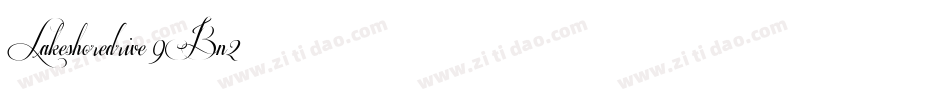 Lakeshoredrive-9Bn2字体转换