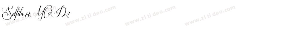 Selfila-8MOD2字体转换
