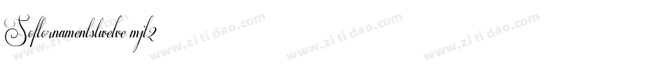 Softornamentstwelve-mjl2字体转换