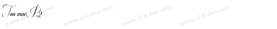 Tau-mmP2字体转换