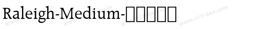 Raleigh-Medium字体转换