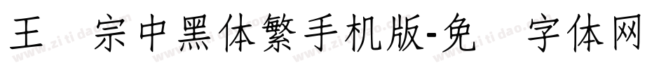 王汉宗中黑体繁手机版字体转换