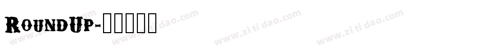 RoundUp字体转换