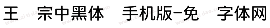 王汉宗中黑体简手机版字体转换