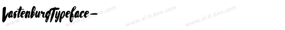 VastenburgTypeface字体转换