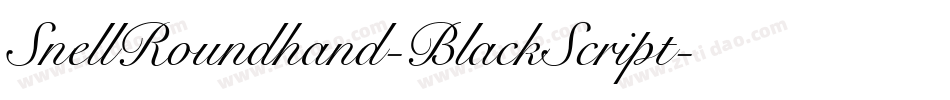SnellRoundhand-BlackScript字体转换