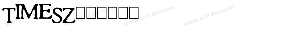TIMESZ字体转换