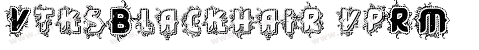 VtksBlackhair-vpRM字体转换