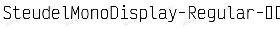 SteudelMonoDisplay-Regular字体转换