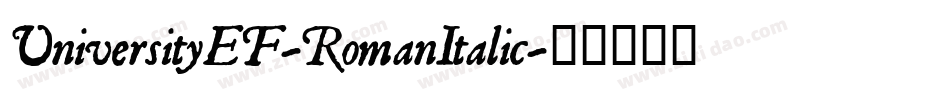 UniversityEF-RomanItalic字体转换