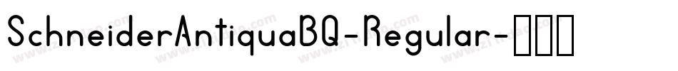 SchneiderAntiquaBQ-Regular字体转换