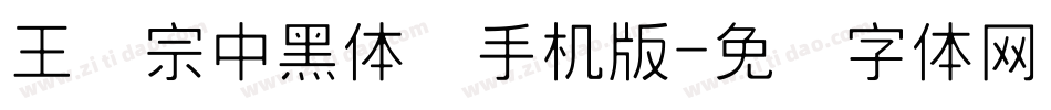 王汉宗中黑体简手机版字体转换