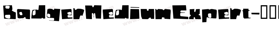 BadgerMediumExpert字体转换