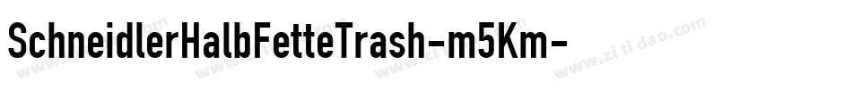 SchneidlerHalbFetteTrash-m5Km字体转换