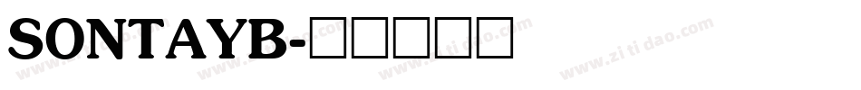 SONTAYB字体转换