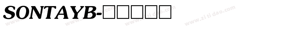 SONTAYB字体转换