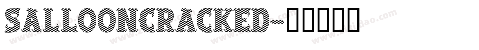 SalloonCracked字体转换