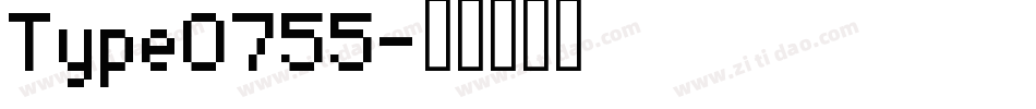Type0755字体转换