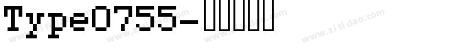 Type0755字体转换