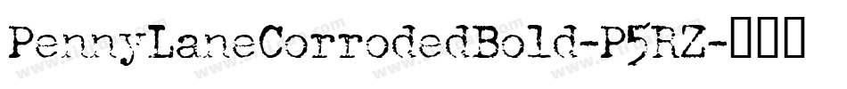 PennyLaneCorrodedBold-P5RZ字体转换