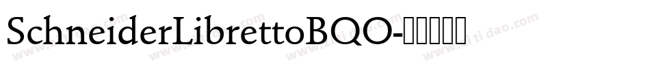 SchneiderLibrettoBQO字体转换