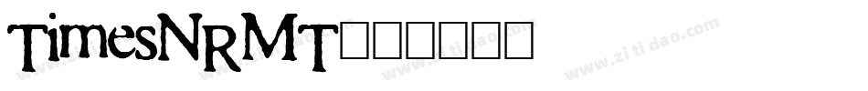 TimesNRMT字体转换