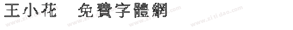 王小花字体转换