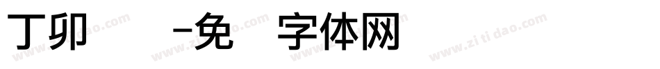 丁卯点阵字体转换