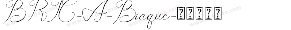 BRIC-A-Braque字体转换