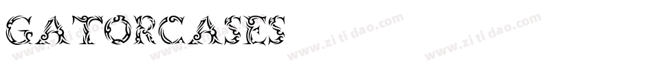 gatorcases字体转换