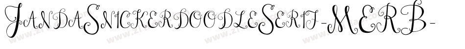 JandaSnickerdoodleSerif-MERB字体转换