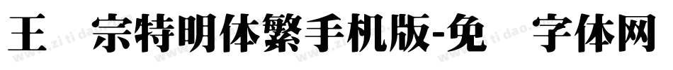 王汉宗特明体繁手机版字体转换