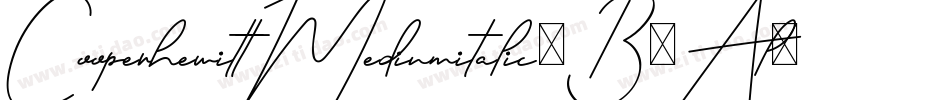 CooperhewittMediumitalic-B6Al字体转换