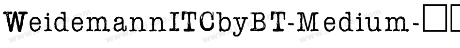 WeidemannITCbyBT-Medium字体转换