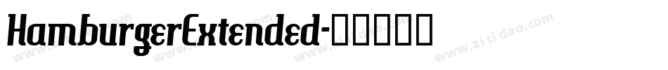 HamburgerExtended字体转换