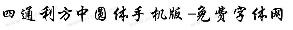 四通利方中圆体手机版字体转换