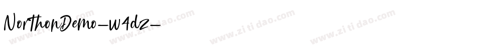 NorthonDemo-w4dz字体转换