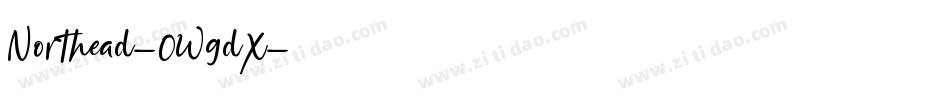 Northead-0WgdX字体转换