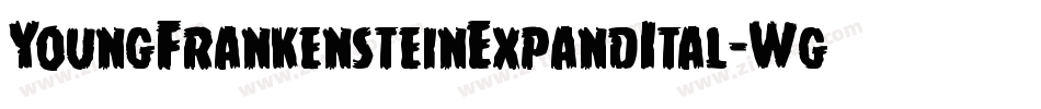YoungFrankensteinExpandItal-WgW4字体转换