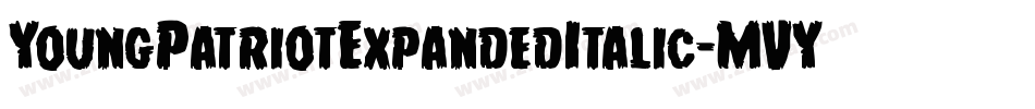 YoungPatriotExpandedItalic-MVY2n字体转换