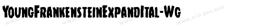 YoungFrankensteinExpandItal-WgW4字体转换
