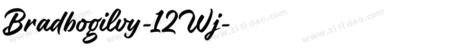 Bradbogilvy-12Wj字体转换